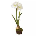 Product Image 1 for Amaryllis Drop In 29" from Napa Home And Garden