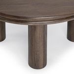 Product Image 4 for Miranda Mango Wood Coffee Table from Classic Home