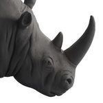 Product Image 8 for Etosha Bookends, Set of 2 from Arteriors