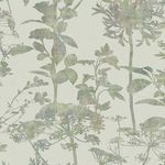 Product Image 1 for Esther Wallpaper from Graham & Brown
