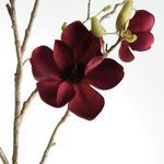Product Image 3 for Magnolia Branches, Set of 2 from Napa Home And Garden