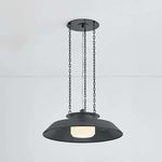 Woodrow Pendant hanging from ceiling showing black metal mounting plate and full chain length