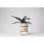 Product Image 2 for Hand Painted Debossed Terracotta Planter With Pedestal Base (Set Of 4) from Creative Co-Op