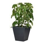 Product Image 6 for Kiro Planter from Four Hands