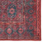 Close-up of rug's border pattern with detailed dark red and blue geometric shapes
