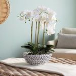 Product Image 5 for Serena Decorative Bowl from Napa Home And Garden