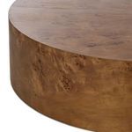 Product Image 7 for Caya Large Caramel Burl Coffee Table from Four Hands