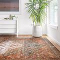 Layla Ocean Multi Rug styled in natural light room with wood floor and potted plant by large window