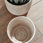 Product Image 6 for Burma Rattan Cachepots, Set Of 2 from Napa Home And Garden
