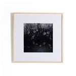 Product Image 1 for Floral Film II Framed Black and White Photograph by Annie Spratt from Four Hands