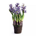Product Image 1 for Hyacinth Drop In 16.5" from Napa Home And Garden