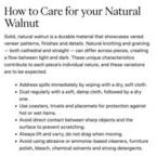 Product Image 14 for Hudson Ashen Walnut Drum Coffee Table from Four Hands