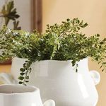 Product Image 3 for Maidenhair Drop-In from Napa Home And Garden