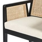 Product Image 20 for Antonia Brushed Ebony Cane Counter Stool from Four Hands