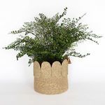 Product Image 4 for Sophia Appliqued Edge Baskets, Set of 2 from Creative Co-Op