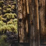 Product Image 6 for Portal by Shade Degges - Rustic 1.5 Walnut from Four Hands