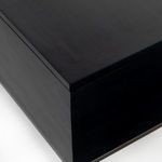 Product Image 19 for Trey Black Wash Poplar Trunk with Leather Pulls from Four Hands