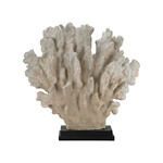 Product Image 1 for Cretaceous Coral Sculpture from Elk Home