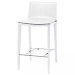 Product Image 2 for Palma Counter Stool from Nuevo
