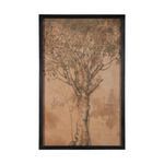 Product Image 1 for Olive Tree from Elk Home