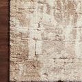 Beige and taupe modern rug with plush, soft pile and abstract transitional pattern on dark wood floor