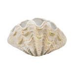 Product Image 1 for Cretaceous Shell Bowl from Elk Home