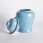 Product Image 3 for Koa Wide Lidded Ginger Jar from Napa Home And Garden