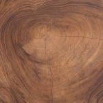Close-up of side angle focused on smooth curves and three distinct legs of teak end table