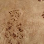 Product Image 2 for Paulette Coffee Table Burl from Dovetail Furniture