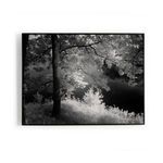 Product Image 1 for Summer Light By Getty Images, Framed Landscape Photography from Four Hands