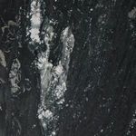 Product Image 19 for Sophie End Table from Four Hands