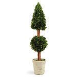 Product Image 1 for Boxwood Cone & Ball Topiary 25" from Napa Home And Garden