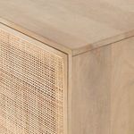 Product Image 20 for Carmel Natural Mango Small Cabinet from Four Hands