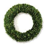 English Boxwood Wreath, 24" image 2