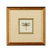 Product Image 1 for Miniature Dragonfly IV Artwork from Chelsea House