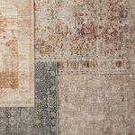 Four overlapping traditional rugs showcasing different colorways including gray, blue, cream, and terracotta
