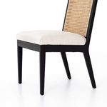 Product Image 10 for Antonia Cane Armless Dining Chair from Four Hands