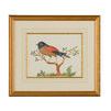 Product Image 1 for Gold Breast Bird Artwork from Chelsea House