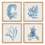 Product Image 1 for Framed Coral Watercolor Prints, Set Of 4 from Napa Home And Garden