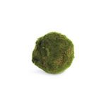 Product Image 1 for Moss Orbs, Set of 6 from Napa Home And Garden