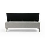 Product Image 12 for Rennie Trunk from Four Hands