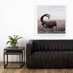 Product Image 5 for Ram By Vitaliy Paykov from Four Hands