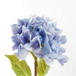 Product Image 3 for Hydrangea Stems , Set Of 6 from Napa Home And Garden