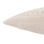 Azilane Trellis Beige/ Light Gray Throw Pillow 22 inch image 3