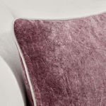 Close-up of pillow corner on couch emphasizing soft velvet texture and piping
