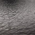 Product Image 4 for Undertow by Shade Degges - Black Maple Floater from Four Hands