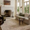 Clarisse rug shown in a bright living room setting under furniture with natural light
