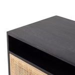 Product Image 11 for Carmel Media Console - Black Wash from Four Hands