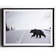 Product Image 3 for Grizzly Bear from Four Hands