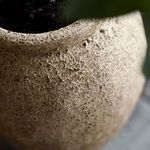 Product Image 3 for Luna Beige 38 Jar from BIDKHome